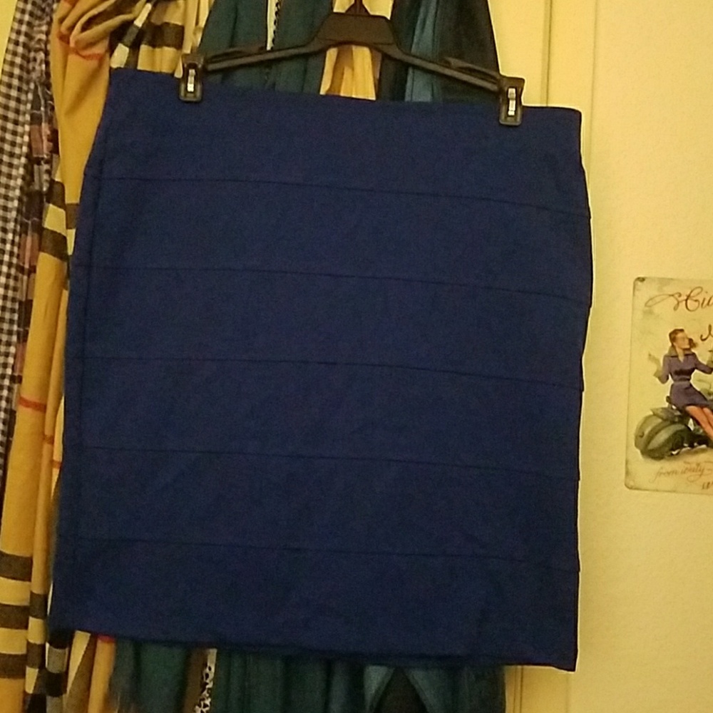 Blue fitted skirt 1X